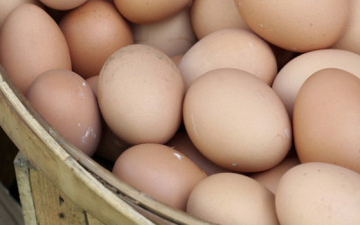 Toolsite Spotlight (1 of 6): The Local Food MarketSizer®