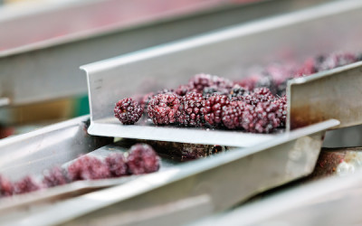 Frozen Local is Heating Up: Is it Worth It? Part I