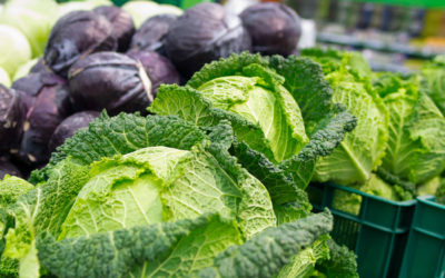 Toolsite Spotlight (3 of 6): The Local Produce HubSizer®