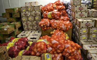 Toolsite Spotlight (4 of 6): The Produce Facility Hubsizer®