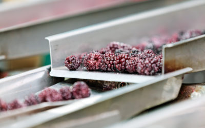 Toolsite Spotlight (6 of 6): The Frozen Processing HubSizer®