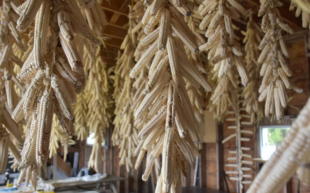 For Health and Harvest: Rebuilding Native Food Systems