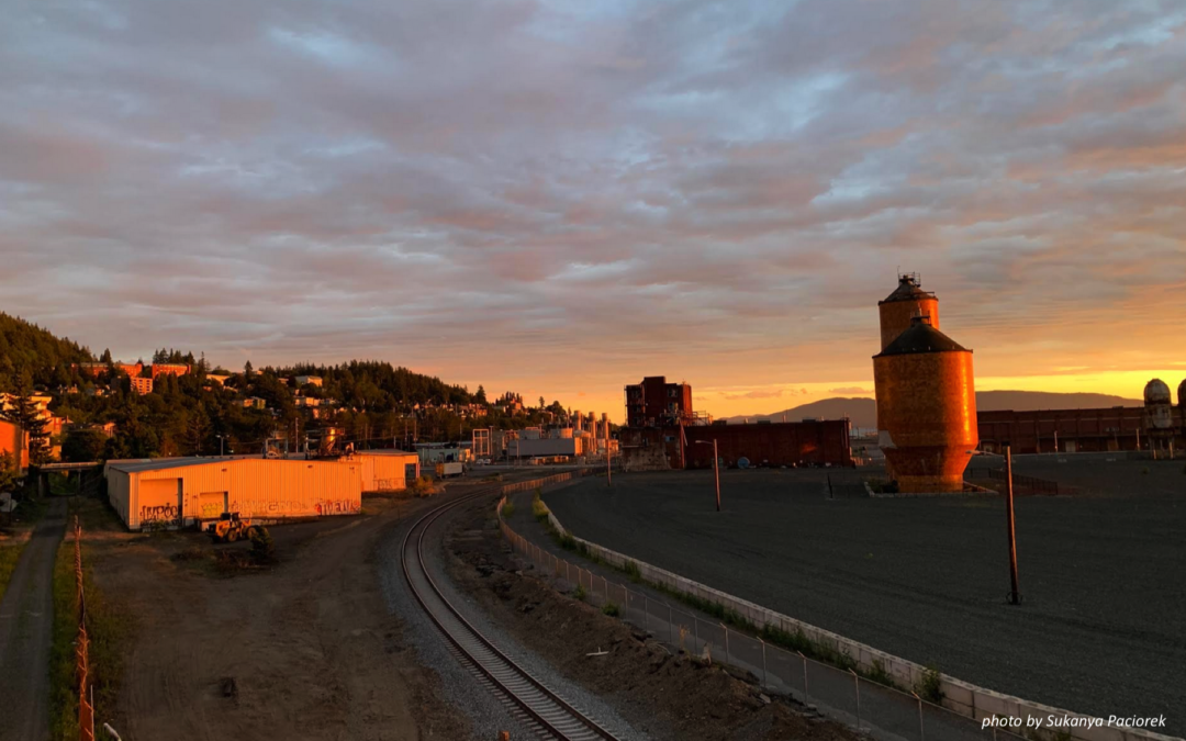 Opportunity Zones: An Emerging but Proven Investment Vehicle for Food System Development