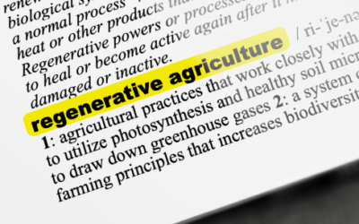 Good Food Glossary: Regenerative Agriculture