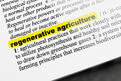 Good Food Glossary: Regenerative Agriculture