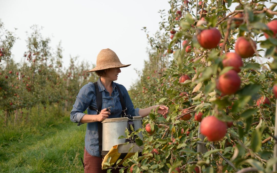 Case History: Linn County Food System Assessment