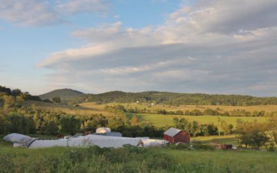 Case Study: Shenandoah Agricultural Enterprise Center