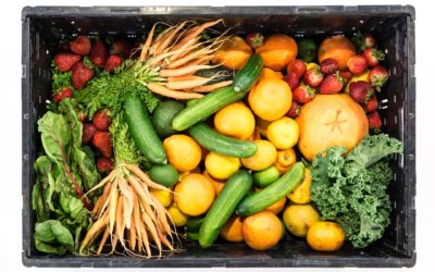 The LFPA: Optimism for More Equitable Food Systems