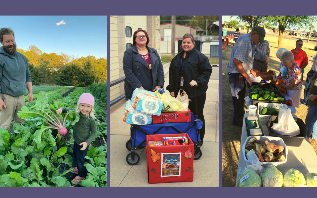 Case History: A County by County Approach to Food System Planning