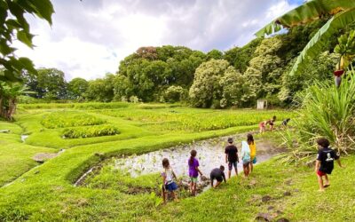 Case History: Maui County Food & Nutrition Security Plan
