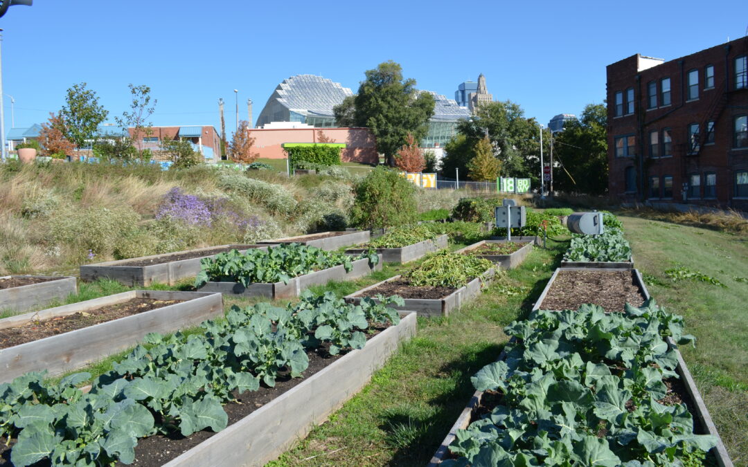 Case History: Kansas State Olathe Food as Medicine