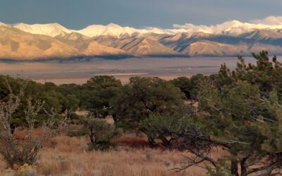 Case History: San Luis Valley Community Food & Agriculture Action Plan