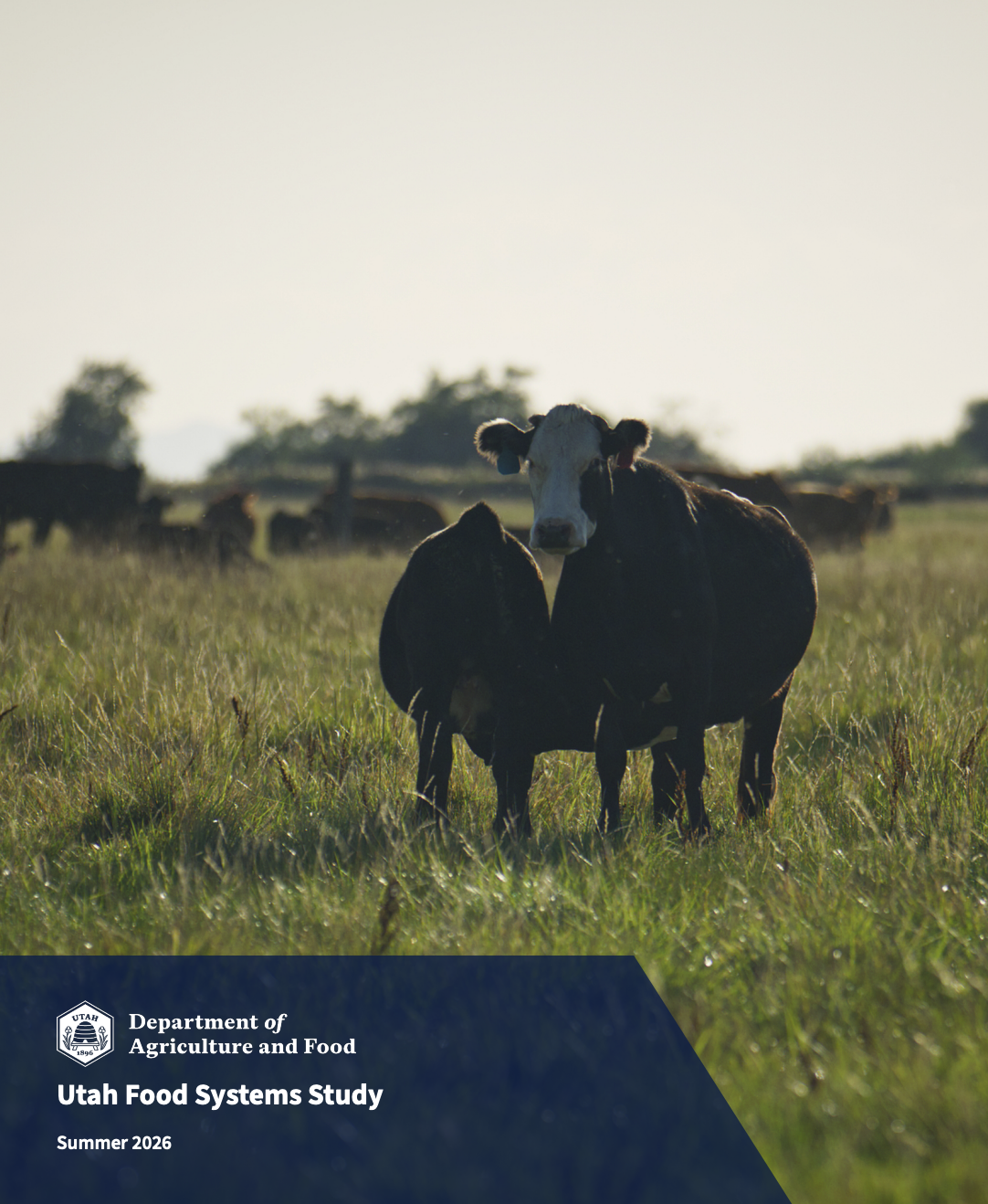2026-Utah-Food-Systems-Study_cover